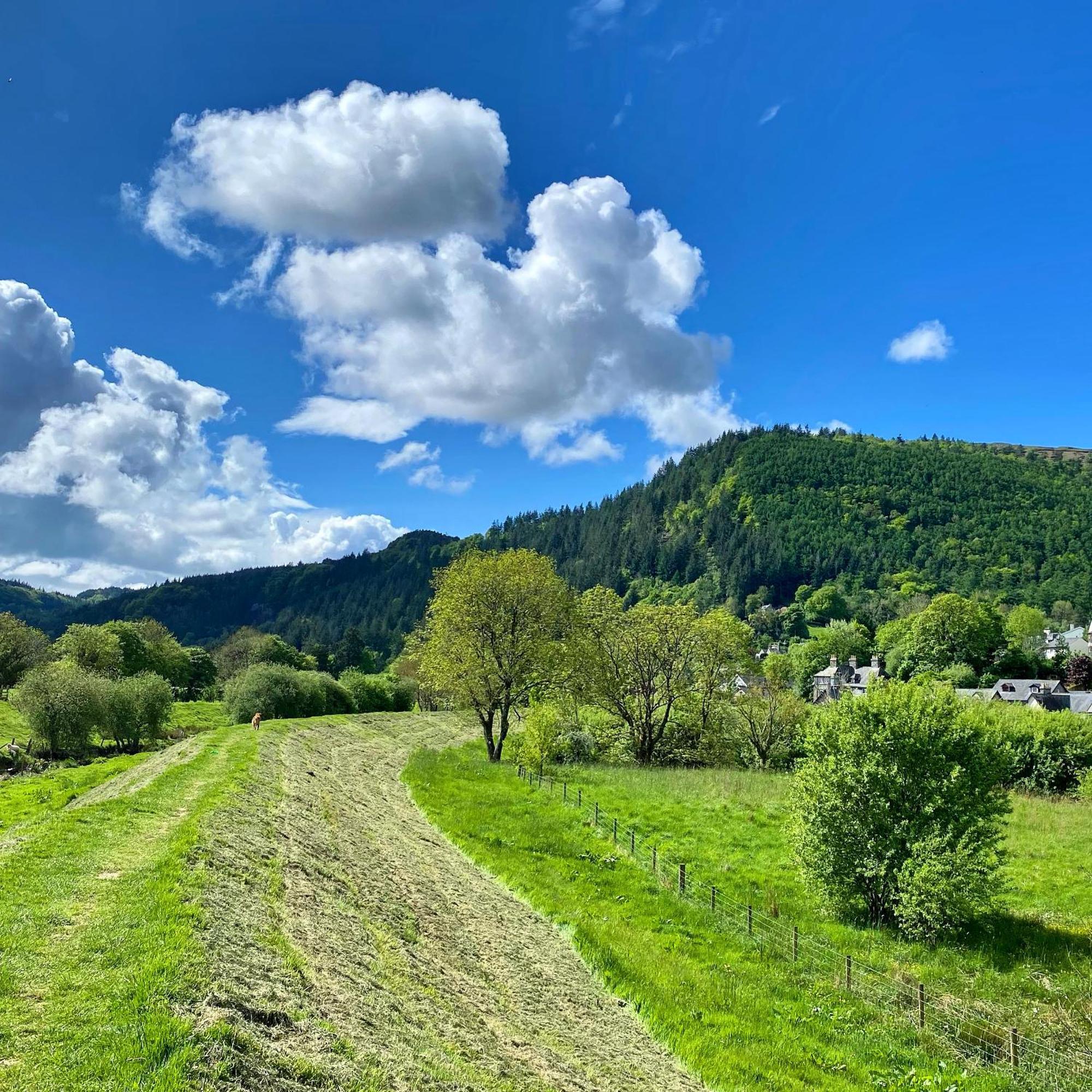 Trefriw Crafnant House - Bed & Breakfast المظهر الخارجي الصورة